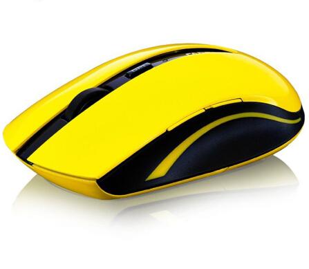 Rapoo Wireless Optical Office Mouse