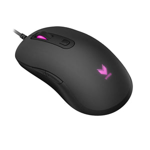 Rapoo V22 Magic Gaming Mouse